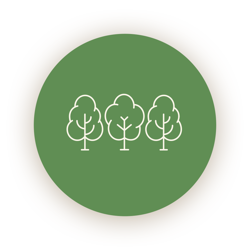trees icon