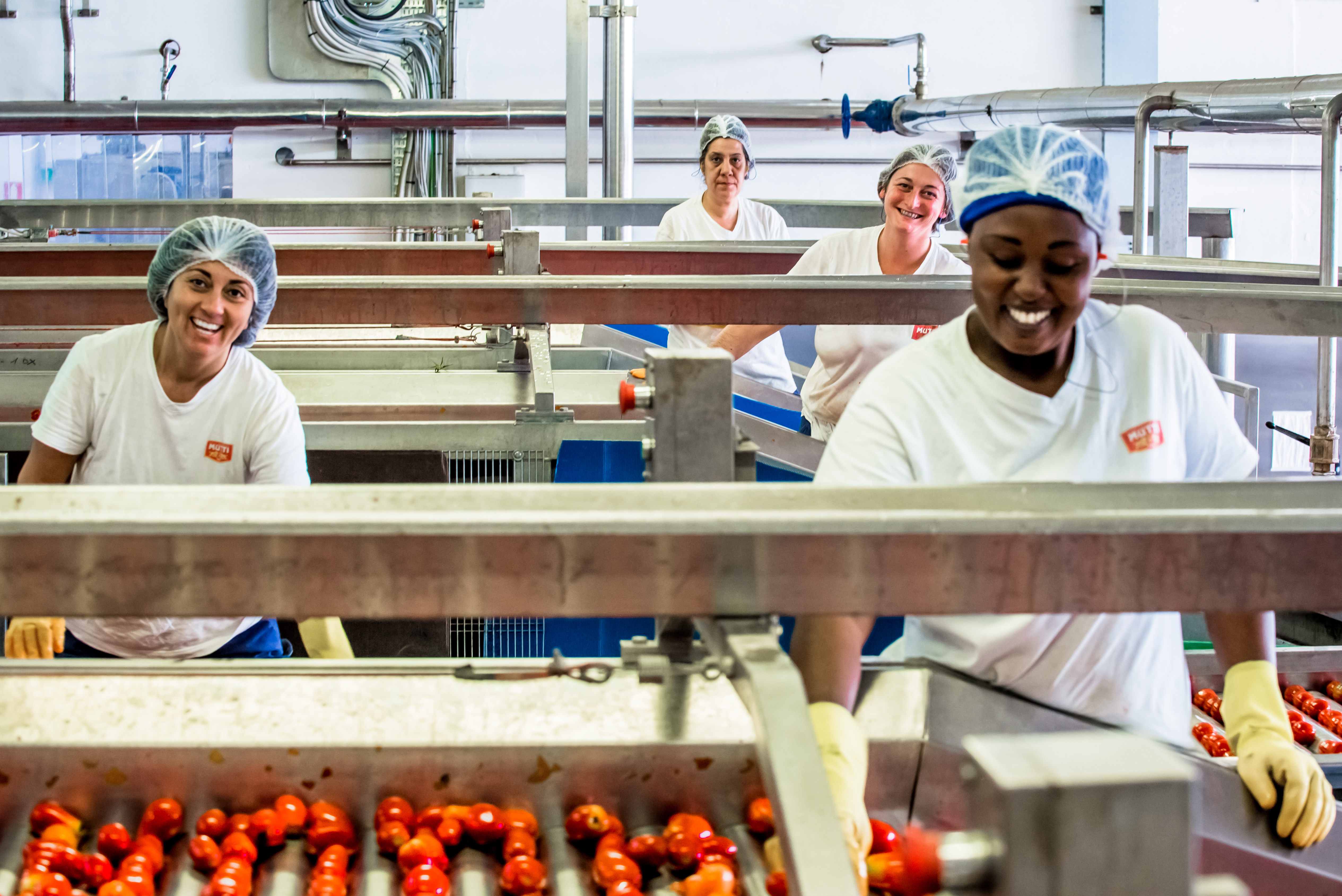 Excellent quality for the 2021 Tomato Campaign