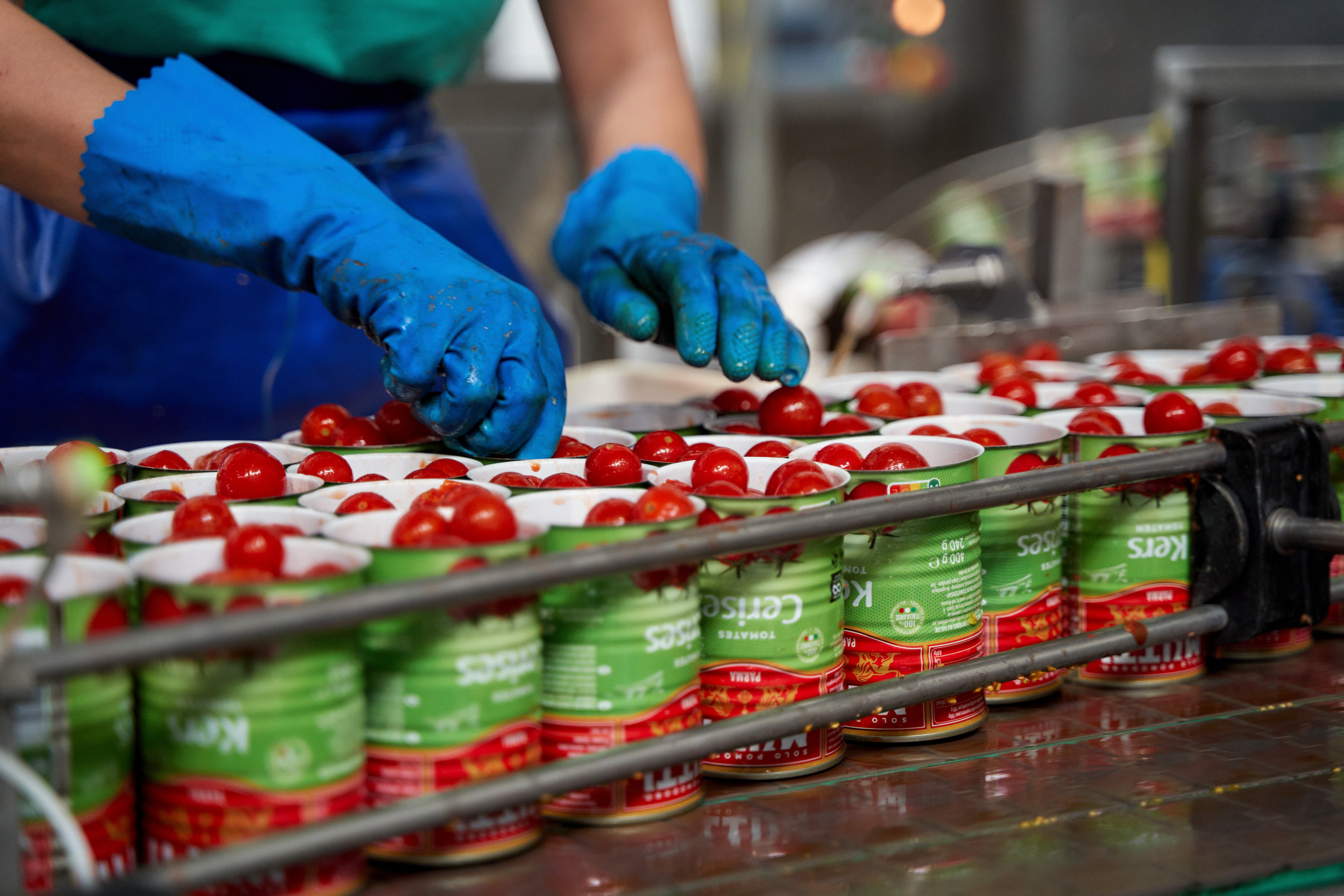 1200 NEW HIRES FOR THE 2023 TOMATO PROCESSING CAMPAIGN