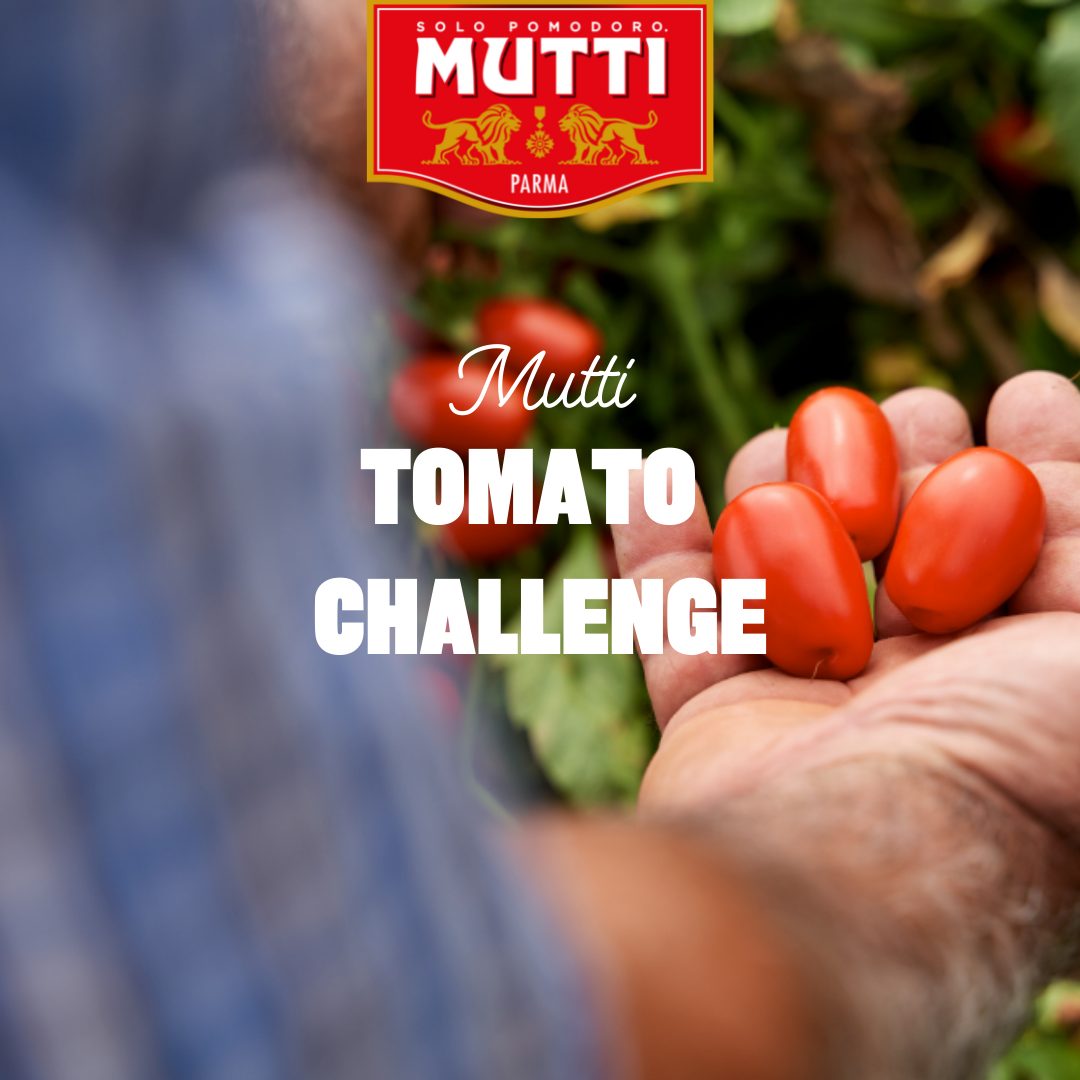 Muttis tomatudfordring Muttis tomatudfordring
