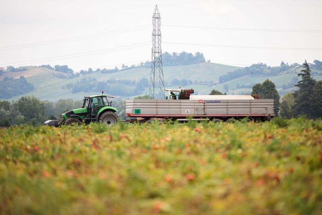 UPPLEV TOMATSKÖRDEN I ITALIEN fredagen den 3 SEPTEMBER KL. 16.00 UPPLEV TOMATSKÖRDEN I ITALIEN fredagen den 3 SEPTEMBER KL. 16.00