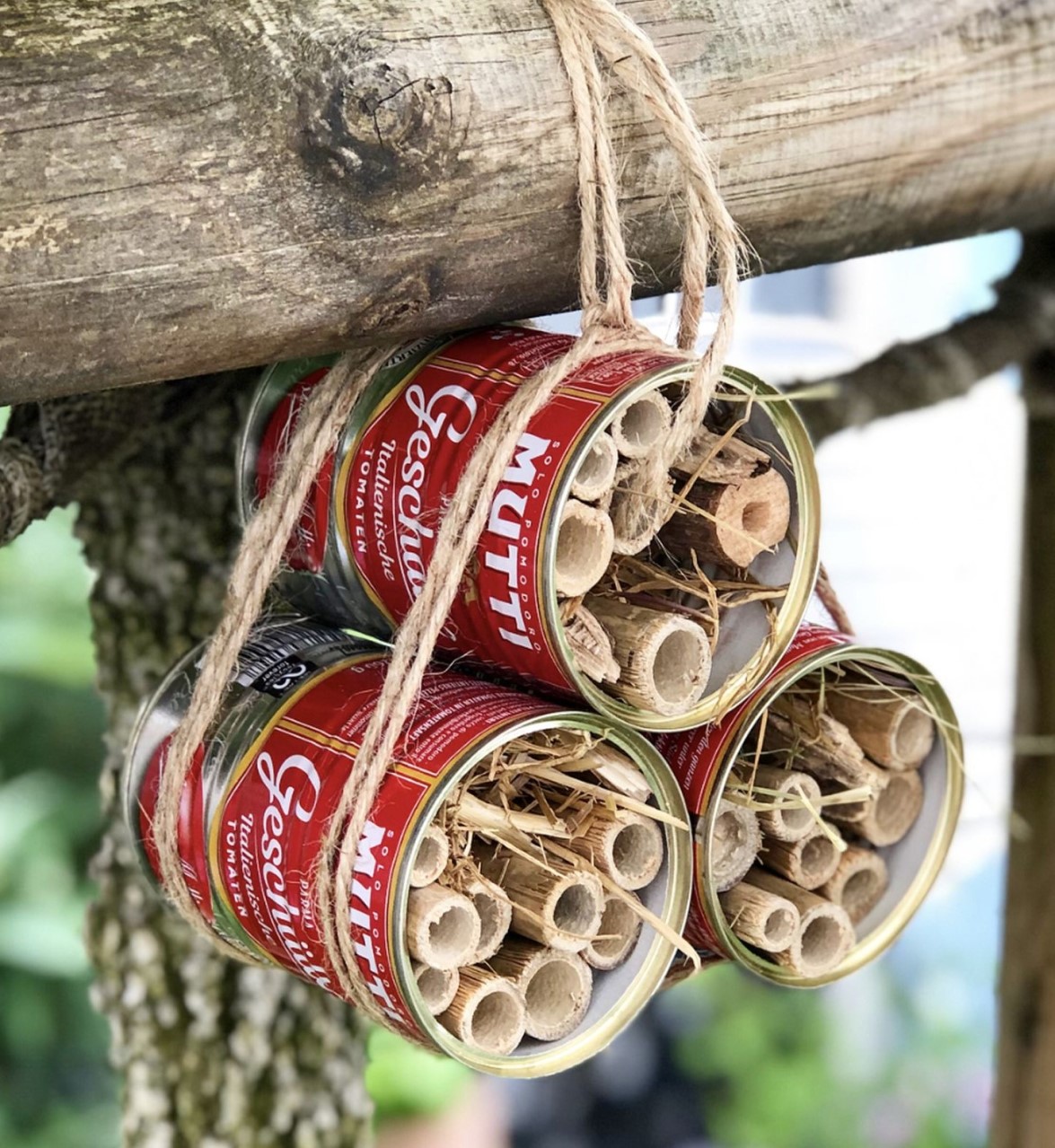 DYI Insektenhotel mit Mutti