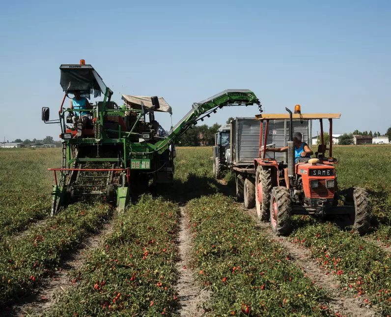 Die Bedeutung der maschinellen Ernte
