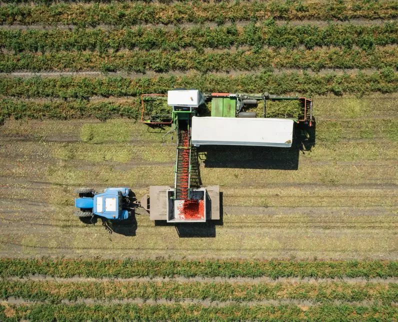 Der Schutz der biologischen Vielfalt schützt Leben