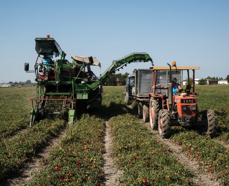 Why mechanical harvesting matters