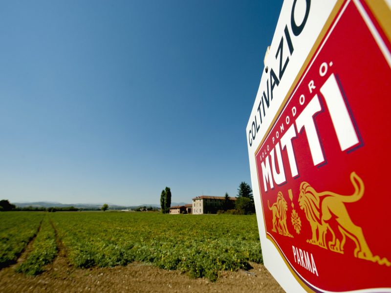 mutti production