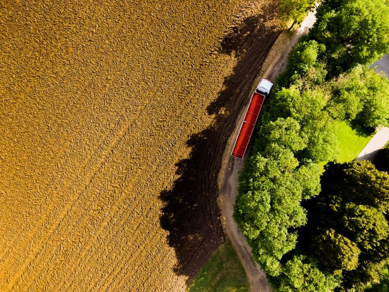 campo coltivato di pomodori