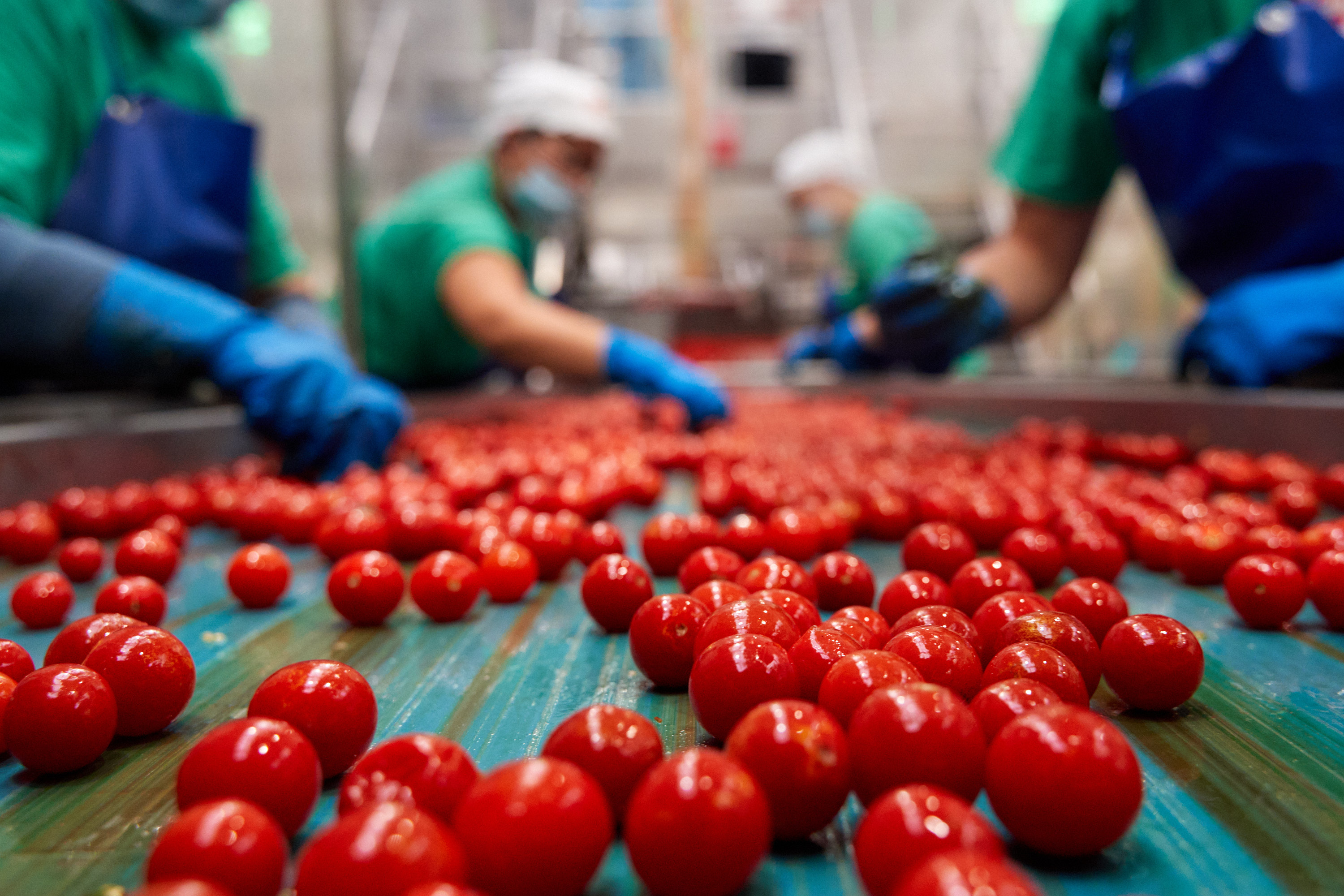 Progetto di Ampliamento Fiordagosto