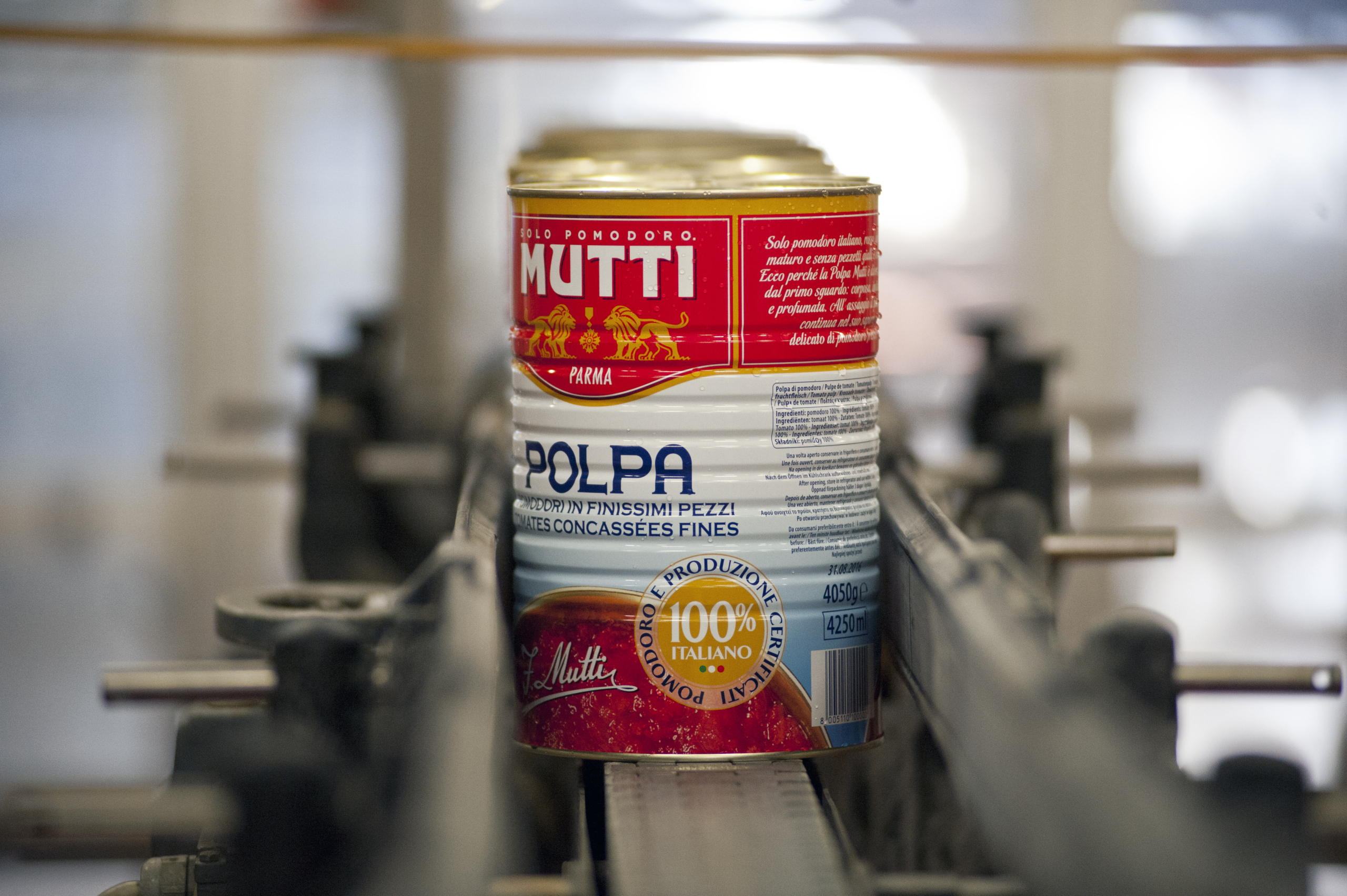 SODDISFAZIONE PER LA QUALITÀ DEL POMODORO IN UN ANNO CARATTERIZZATO DA CLIMA AVVERSO E INFLAZIONE