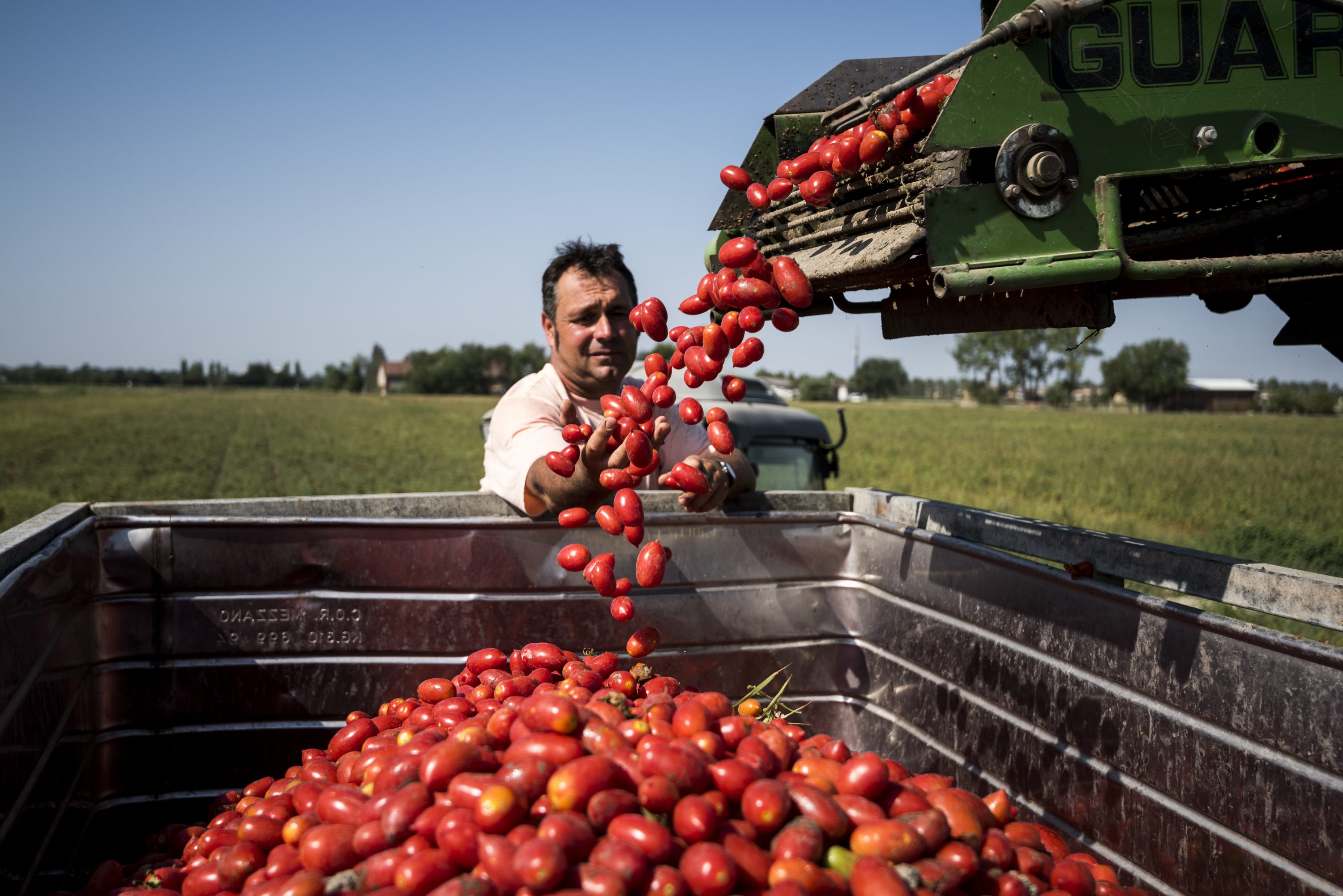 Sadonkorjuu Sadonkorjuu